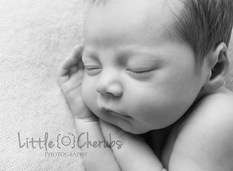 black and white baby photography little cherubs