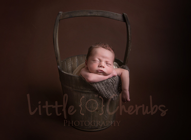 Baby in bucket march photography studio